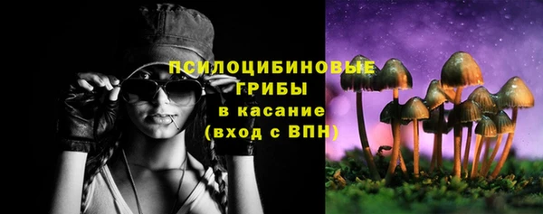 Альфа ПВП Армянск