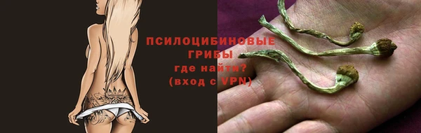 прущие крисы Аркадак
