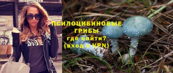 прущие крисы Аркадак