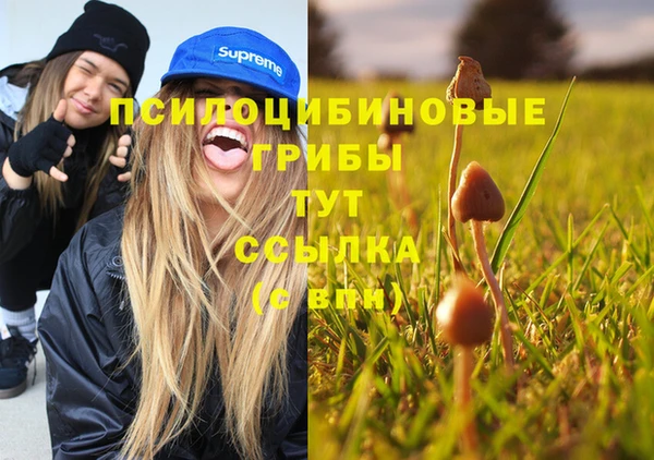 прущие крисы Аркадак