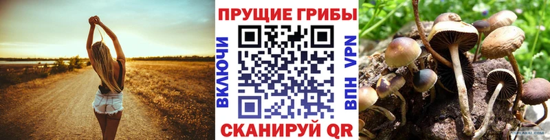 Галлюциногенные грибы GOLDEN TEACHER Лахденпохья